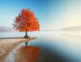 算‍分​公‍式﻿